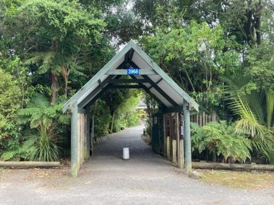 Morere Scenic Reserve