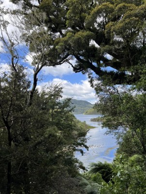 A glimpse of Lake Waikaremoana from the track, with an ancient rata tree overhanging, Catherine McDonald