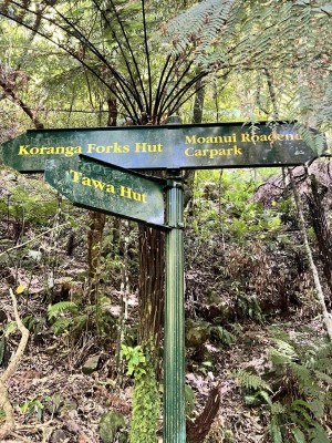 Track sign, photo Catherine McDonald
