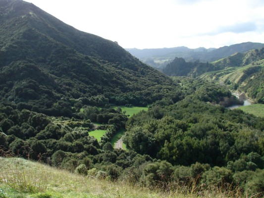 Looking up Waimatā River with Longbush QEII Covenant between the road and the river.
