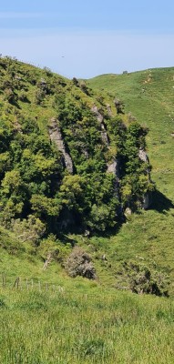 Limestone bluff in farmland, Gay Young