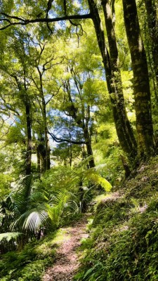 Narrow track across old bouldery hillslope, photo Catherine McDonald