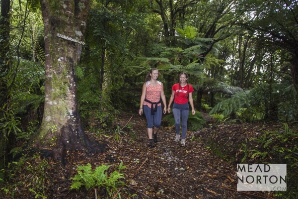 Mead Norton Photography