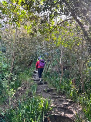 "Surfers' Track" southern end of Makorori Beach, photo by Catherine McDonald