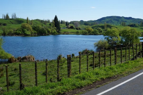 Lake Rotokaha, Tiniroto