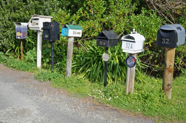 Lloyd George driveay providing access to Tuaheni Point, photo by Gillian Ward