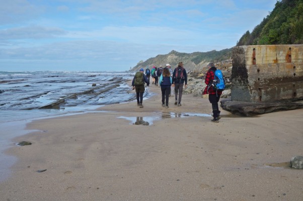 South end of Wainui Beach, low tide walk to historic lighthouse, photo by Gillian Ward