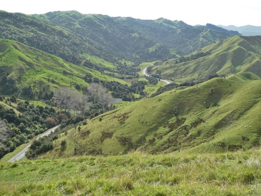Waimata Valley Road