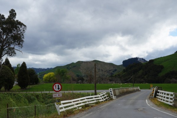 Waingake Road, photo Gillian Ward