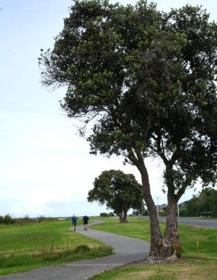 Wairoa Riverside Cycle and Walkway