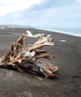 Whakamahia Beach