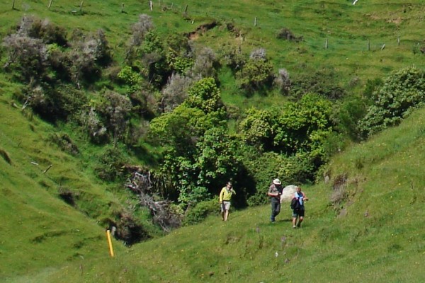 Mangaone Caves, Nūhaka