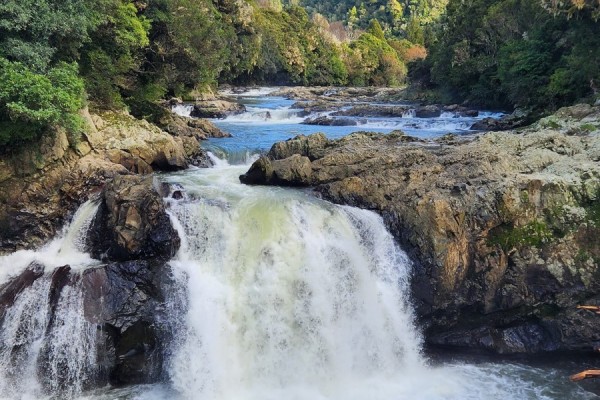 Whinray Scenic Reserve