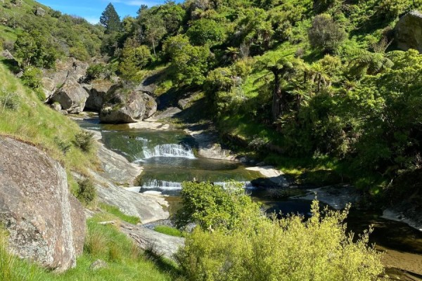 Haurata High Country Walks