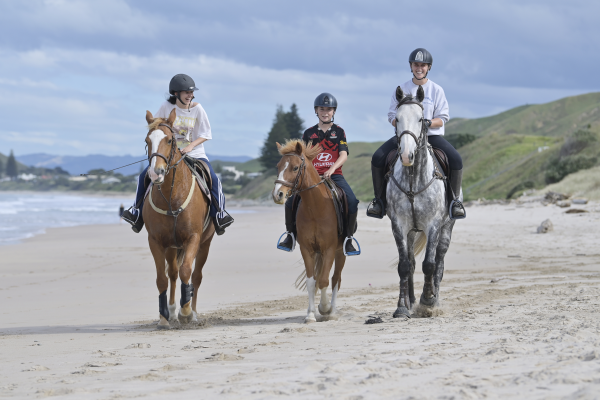 Horse Riding in Tairāwhiti